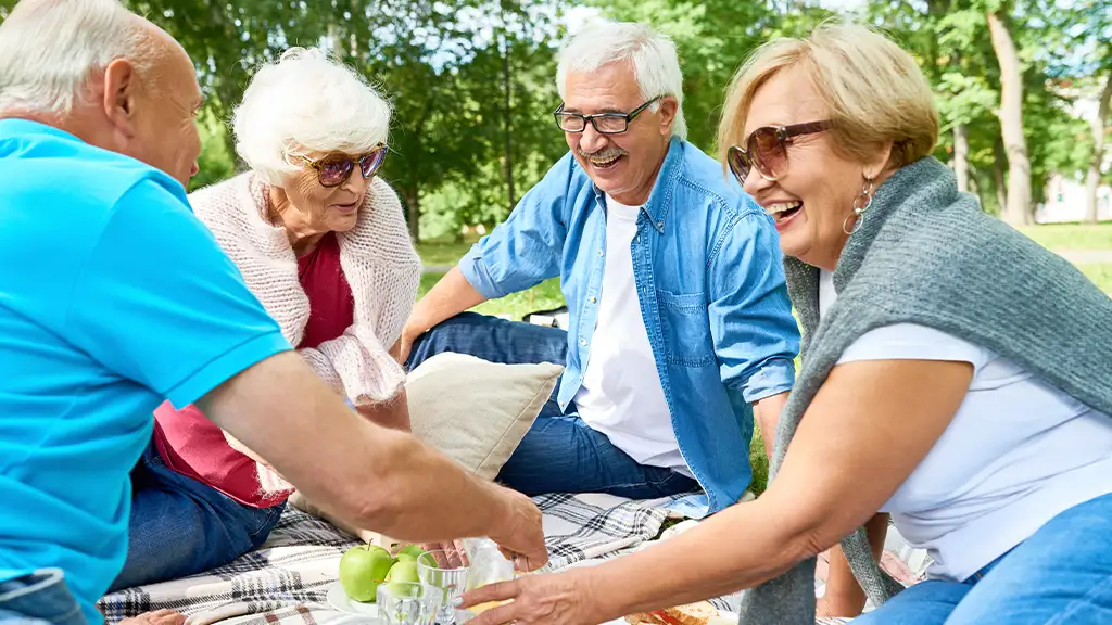 group of people having a picnic